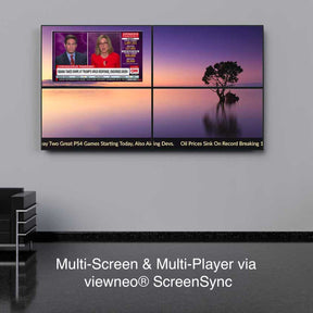 Digital Signage Player viewneo 4K SignageBox II